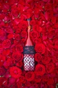 Lust